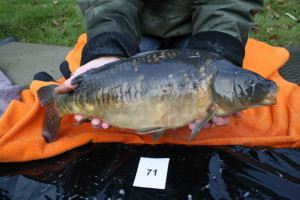 Stocked November 2011