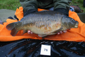 Stocked November 2011