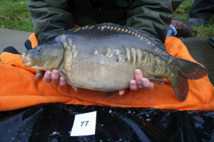 Stocked November 2011