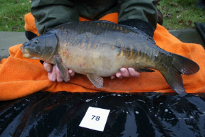 Stocked November 2011