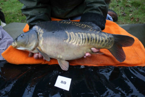 Stocked November 2011