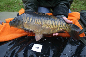 Stocked November 2011