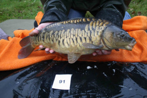 Stocked November 2011