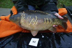 Stocked November 2011