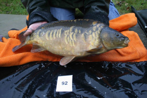 Stocked November 2011