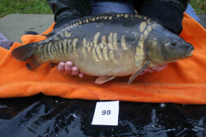 Stocked November 2011