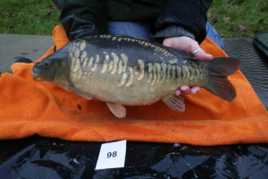 Stocked November 2011