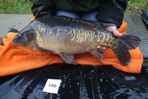 Stocked November 2011