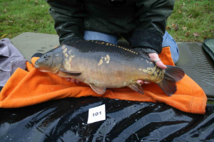 Stocked November 2011