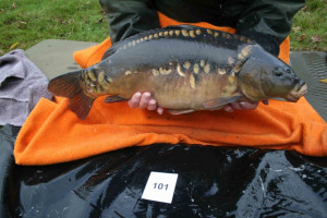 Stocked November 2011