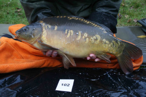 Stocked November 2011