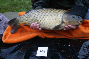 Stocked November 2011