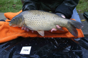 Stocked November 2011