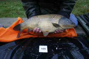 Stocked November 2011