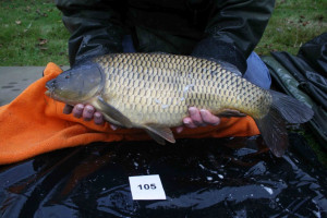 Stocked November 2011