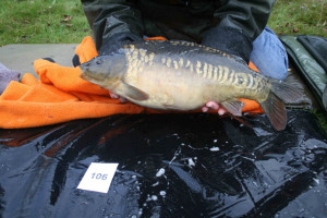 Stocked November 2011