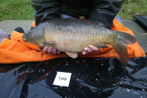 Stocked November 2011