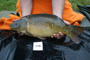 Stocked November 2011