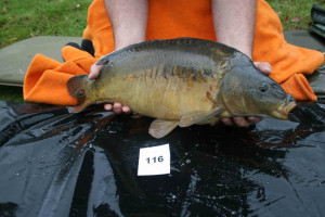 Stocked November 2011