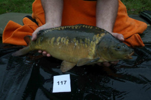 Stocked November 2011