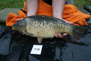 Stocked November 2011