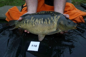 Stocked November 2011