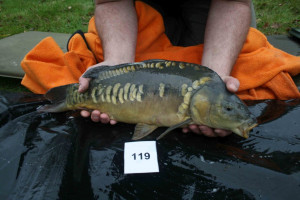 Stocked November 2011