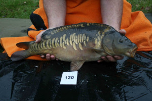 Stocked November 2011