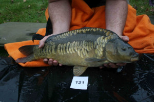 Stocked November 2011