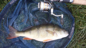 Bill Francis 2Lb 2oz Silt Pond 15.11.13