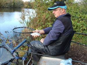 Dave Knight with a skimmer Bream - Caught on jelly pellet - 15.11.2009