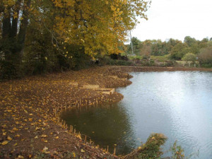 Western Lake Work done by Tony and John Sept 2011
