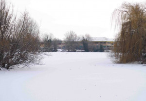 Brooklands January 2010