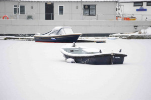 Brooklands January 2010