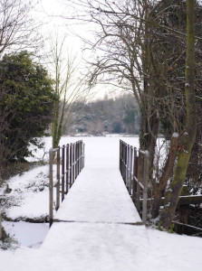 Brooklands January 2010