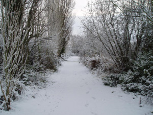 Snow at Sutton December 2009