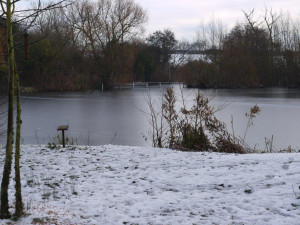 Sutton Frozen over - January 2010