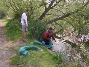 Tony collecting spawn June 2011