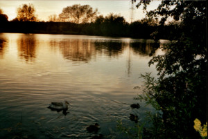 Westminster Lake sunset