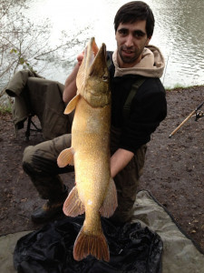John Foster 30Lb Small Lake caught on skimmer livebait 13.1.13