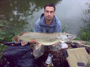 Mike Landy - Sutton Small Lake - Landed this pike on a float-fished deadbait (sprat) whilst fishing Sutton-at-Hone on Sunday 11th October. The pike was caught from the margins at the end of the smaller lake away from the car park. The fish was 20lbs exactly.